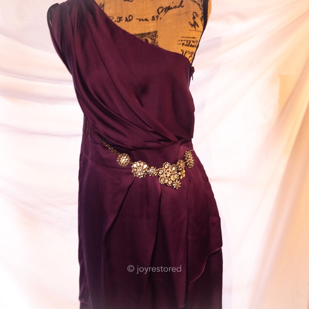 BCBG Dark Plum Size 10 - Asymmetrical Silk Dress
